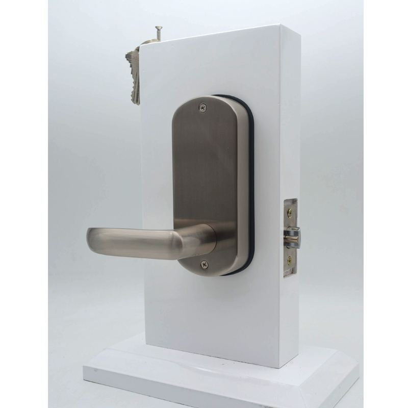 Hoogwaardig combinatieslot met - Door Handle recensie en prijs