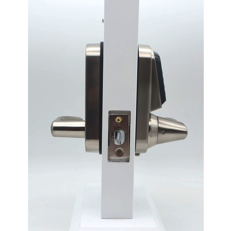 Hoogwaardig combinatieslot met - Door Handle recensie en prijs